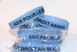 bracelet APDA bleu